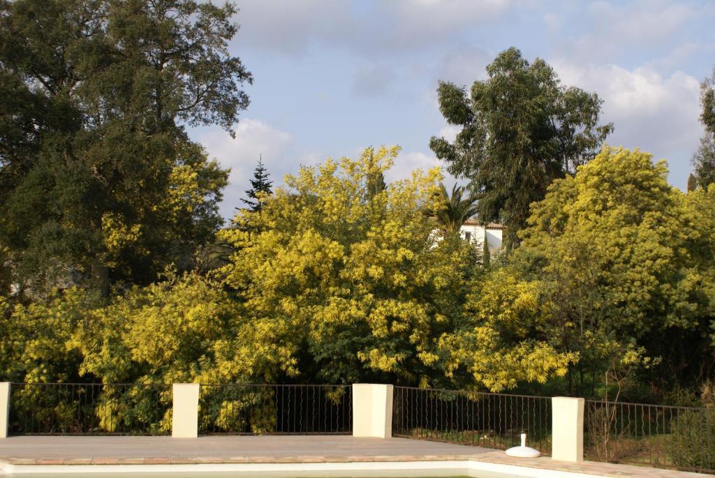 Bed and Breakfast Jardins D'Antalya Grimaud Exterior foto
